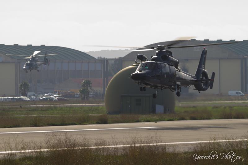 AS.565SA DAUPHIN